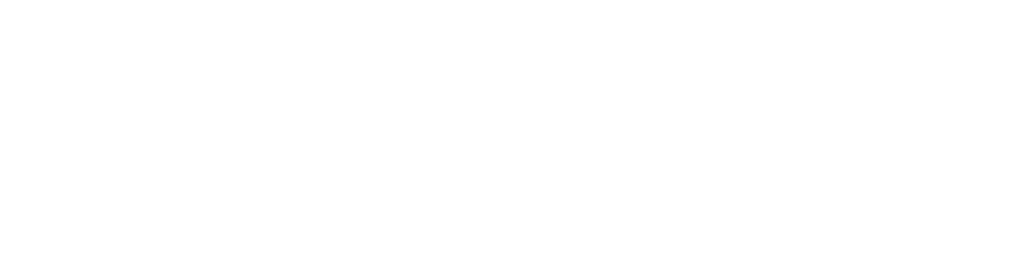 Amica logo